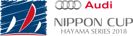 audi nippon cup