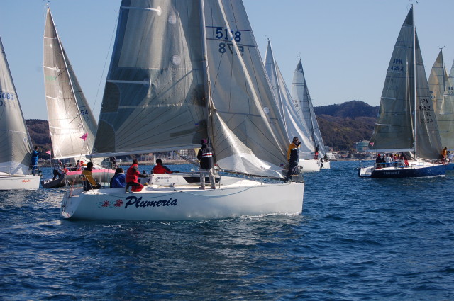 img0003.jpg