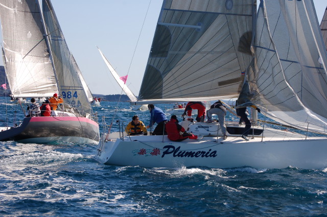 img0060.jpg